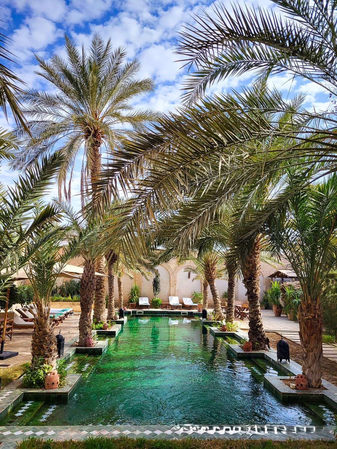 Desert oasis in Tunisia